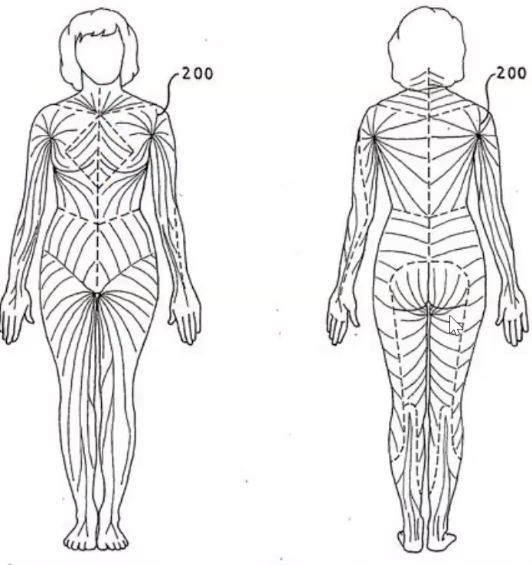 Visual representation of the human nervous system
